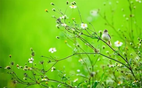 �@������