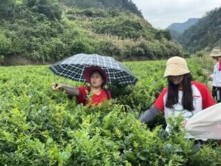 ����ݮ���㣬���̝�����