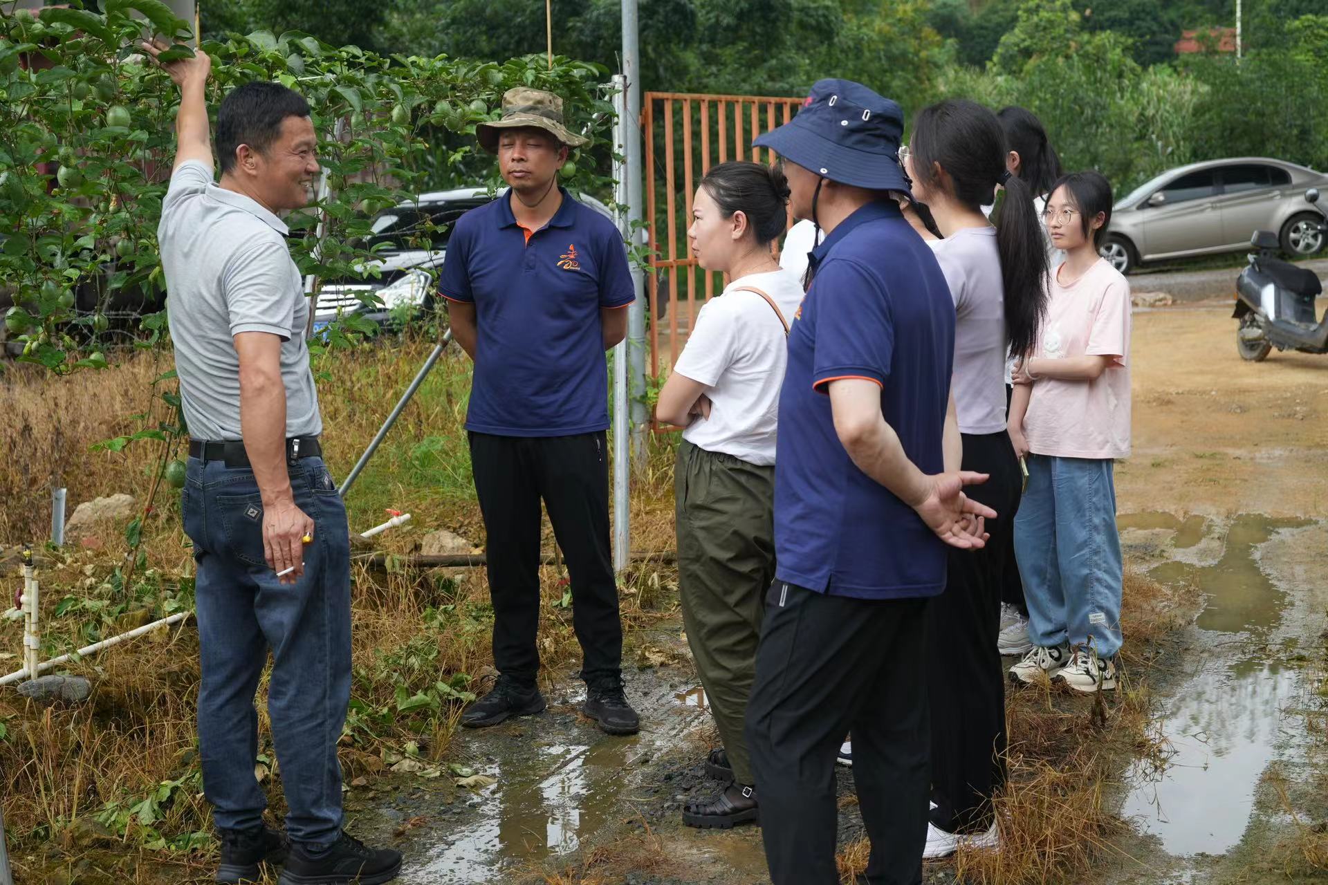 �{�й��߷Nֲ�������Gɫ�r�I�lչ