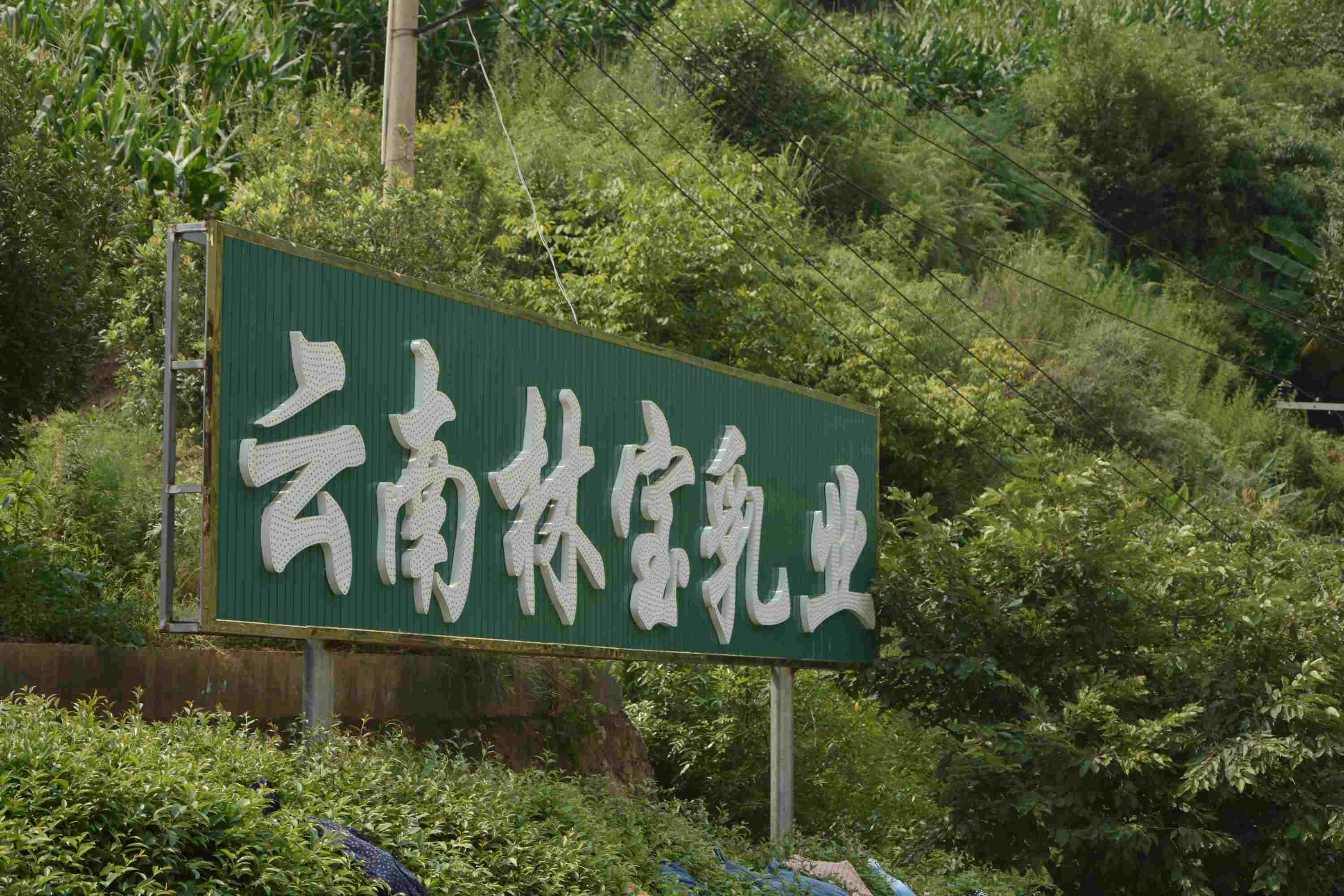 ���һ�����M�£����l���r�õ��d