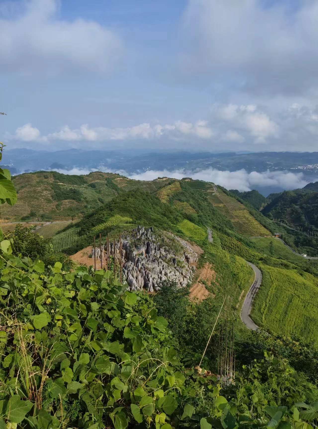 ����u�⣬�����~һ̖���V��������կ��ƪ��