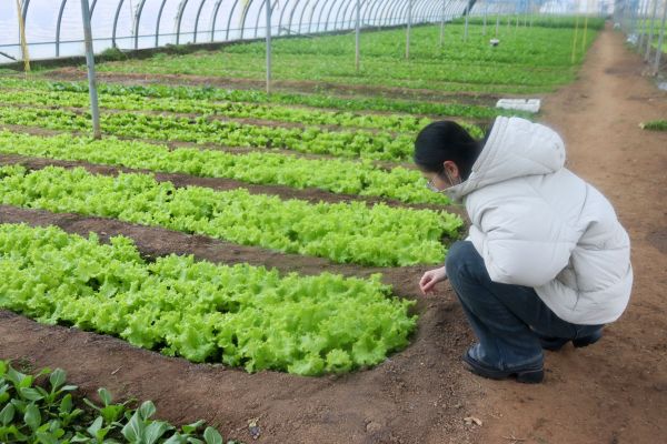 ץ�������D�C�����ٹ��ܜp�Űlչ