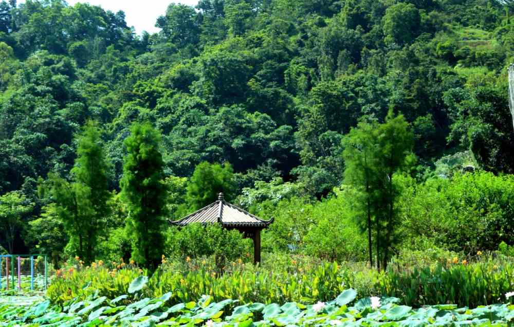 �Խ����e��ӳ�徰���̘I���A�d�l��