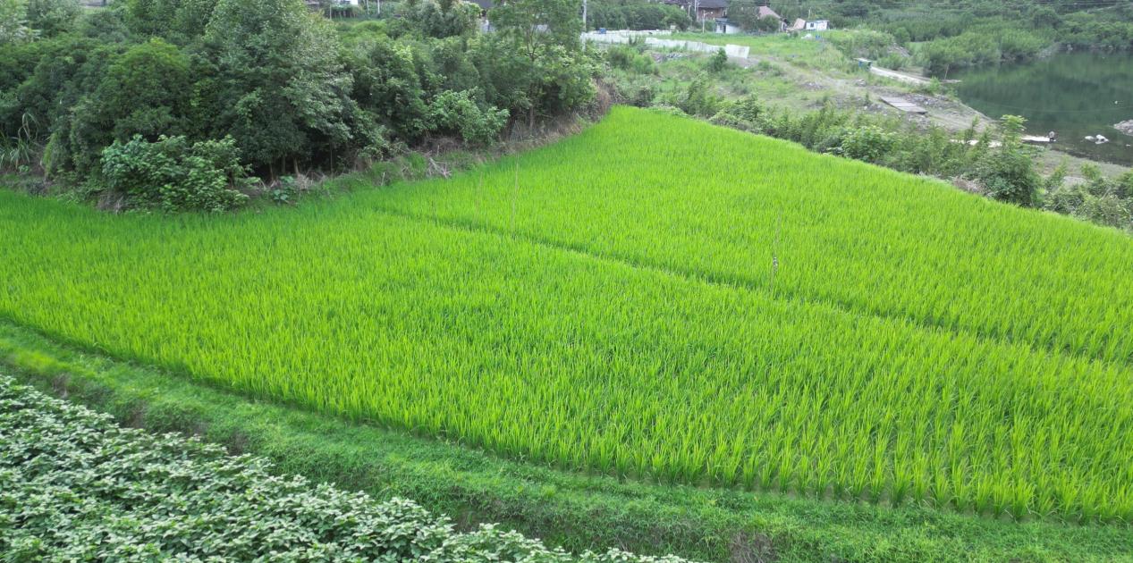 ����Ϫ֪�С����Lӛ��������Ϫ�����ʢ��Ԋ��