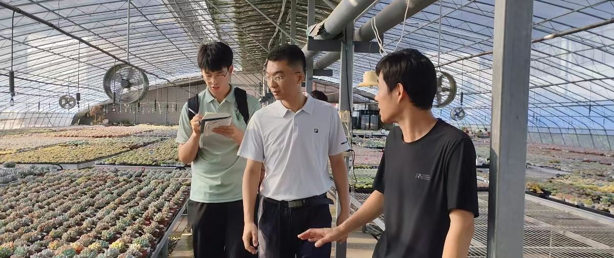 �r�WԺ�����}�A�r�I���ϼZʳ��ȫ���`�F���}�Aԇ�ʾ�������{��