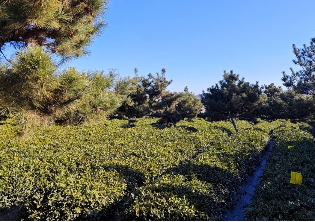 �P(gu��n)ע��a(ch��n)�I(y��)Ѹ�Ͱl(f��)չ�����ڸ߿Ƽ��d�r(n��ng)����