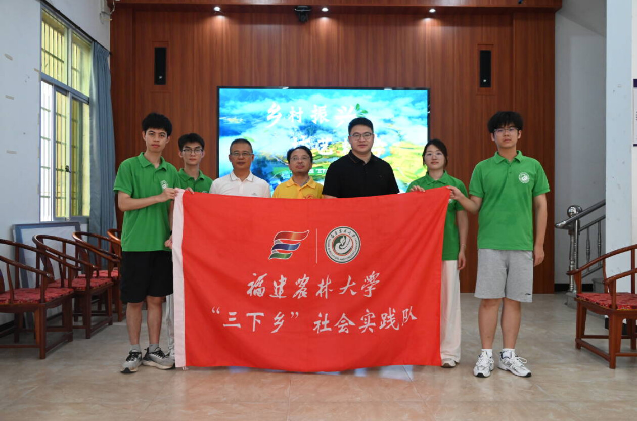 ���������l(xi��ng)�����(sh��)�`������(sh��)���l(xi��ng)ͫ��������^(q��)�У��ڽ������|���l(xi��ng)���}�������{(di��o)����Զ��ഺ��(d��n)��(d��ng)