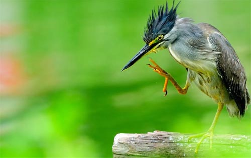 �W������~���ľG��