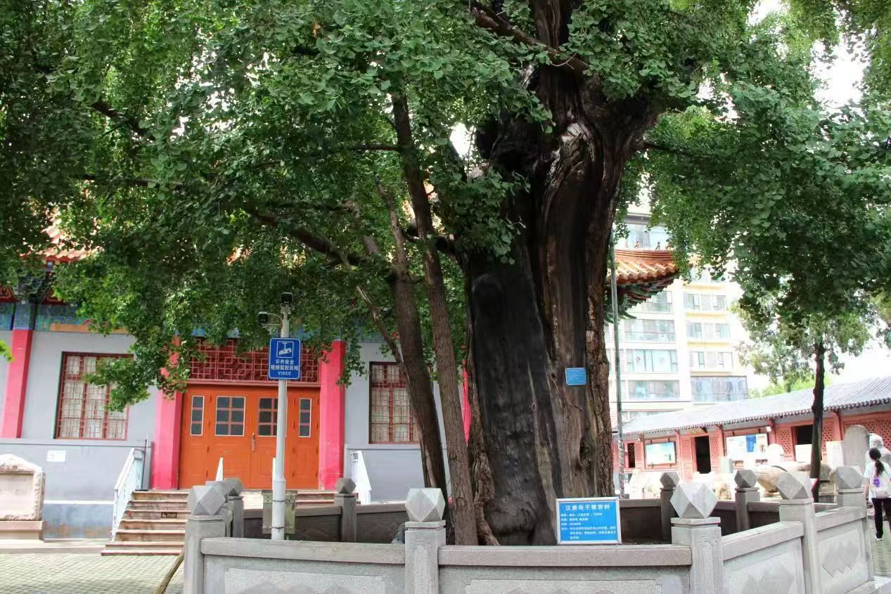 ����ƽ���в����^��̽��ǧ���Ļ�����֮��