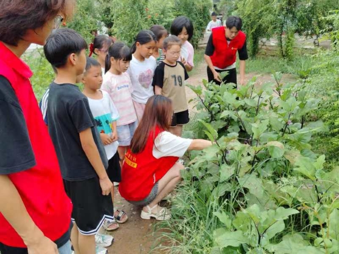 �ǻ���ԭ���ഺ��Ұ�����Ϲ���֧�̈F(tu��n)�����l(xi��ng)�����dϣ��֮�N