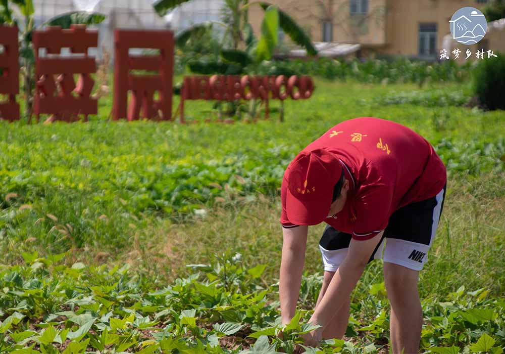 ������W�������l�塱���ڌ��`꠸��|���匍�`