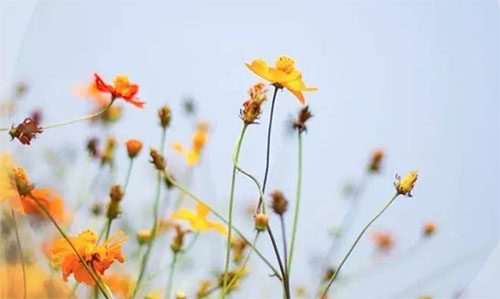 �����R��