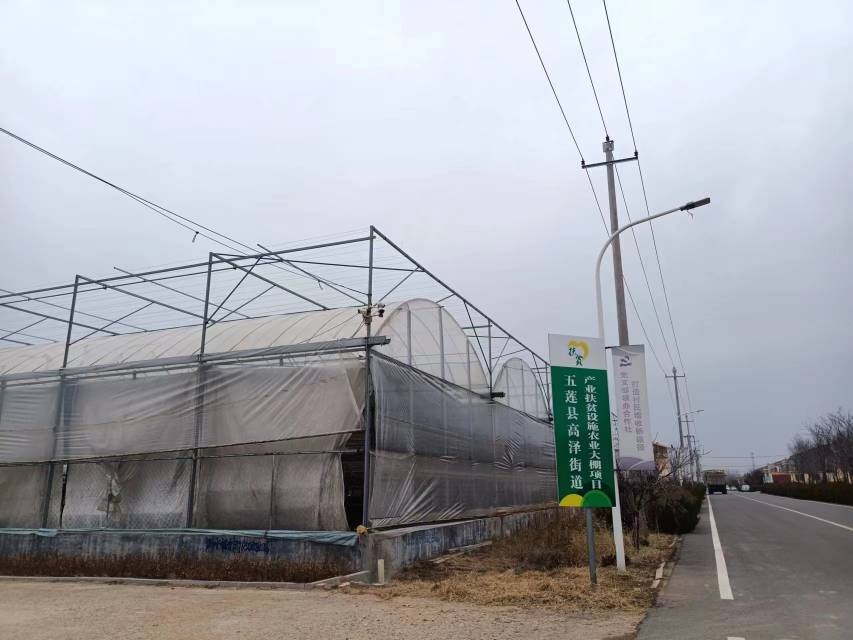 ���M�Gɫ��������l�����d