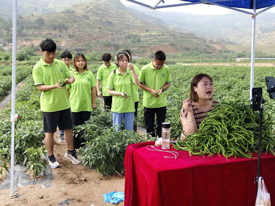 �D5-���`�F�ɆT���c����ֱ�������������Nֲ����ֱ����؛