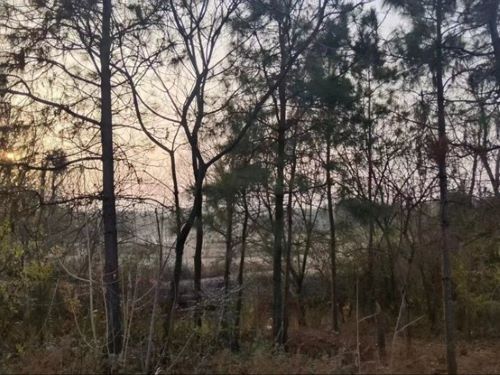 ����������֪���Ԍ��`��̽��