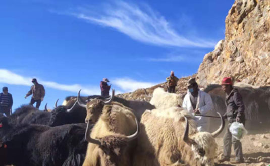 ����(w��)������������ֻ��ϲ�g�㡷