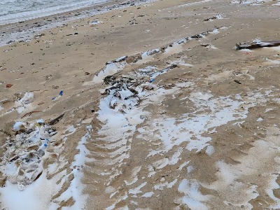 ����ɳ���[���{(di��o)�ЈF(tu��n)��������Ќ�(sh��)���{(di��o)��