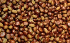 ����������������r��Ц�_�