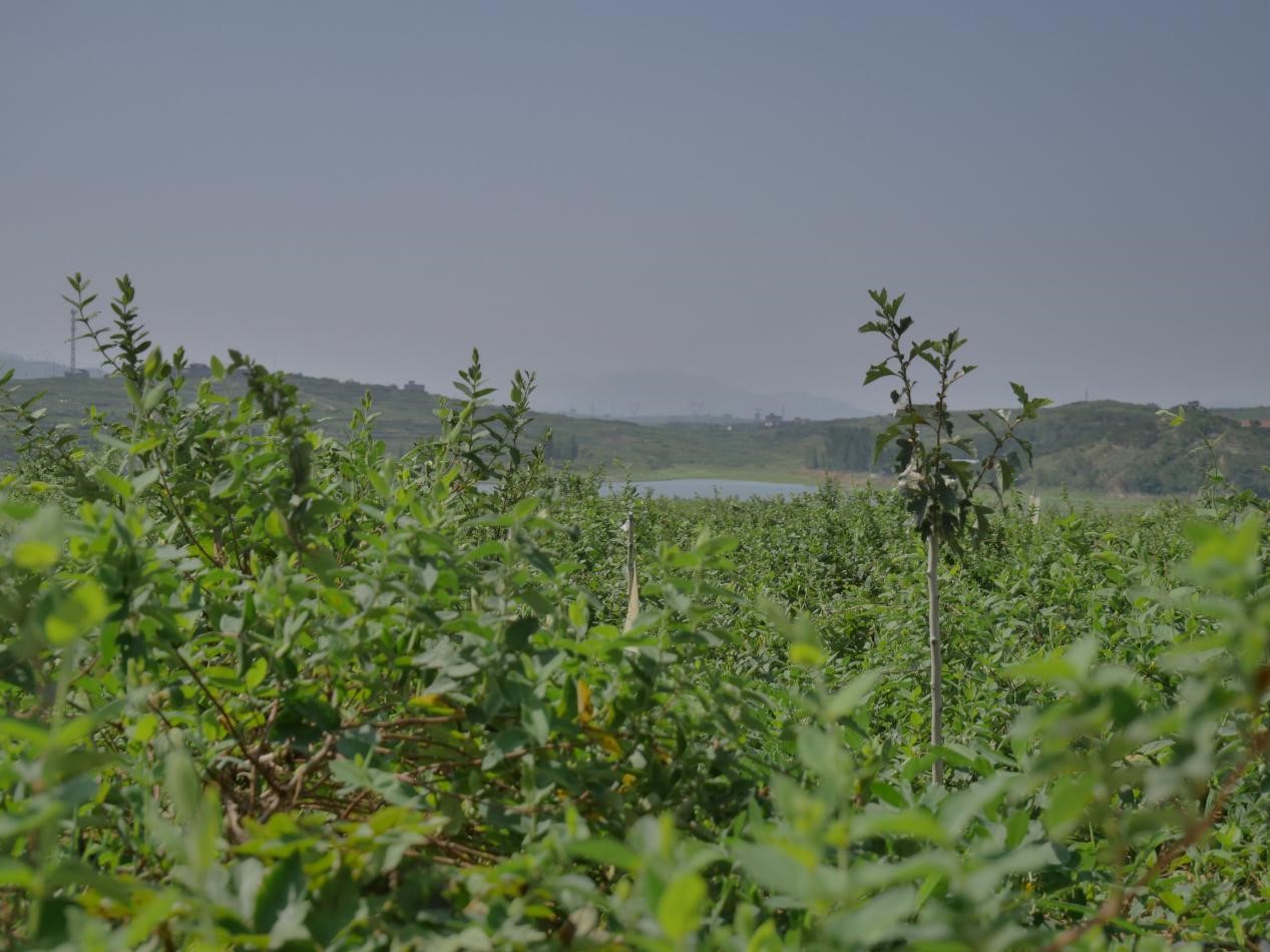 ���y���_��M�@���a�I���dչ�L��