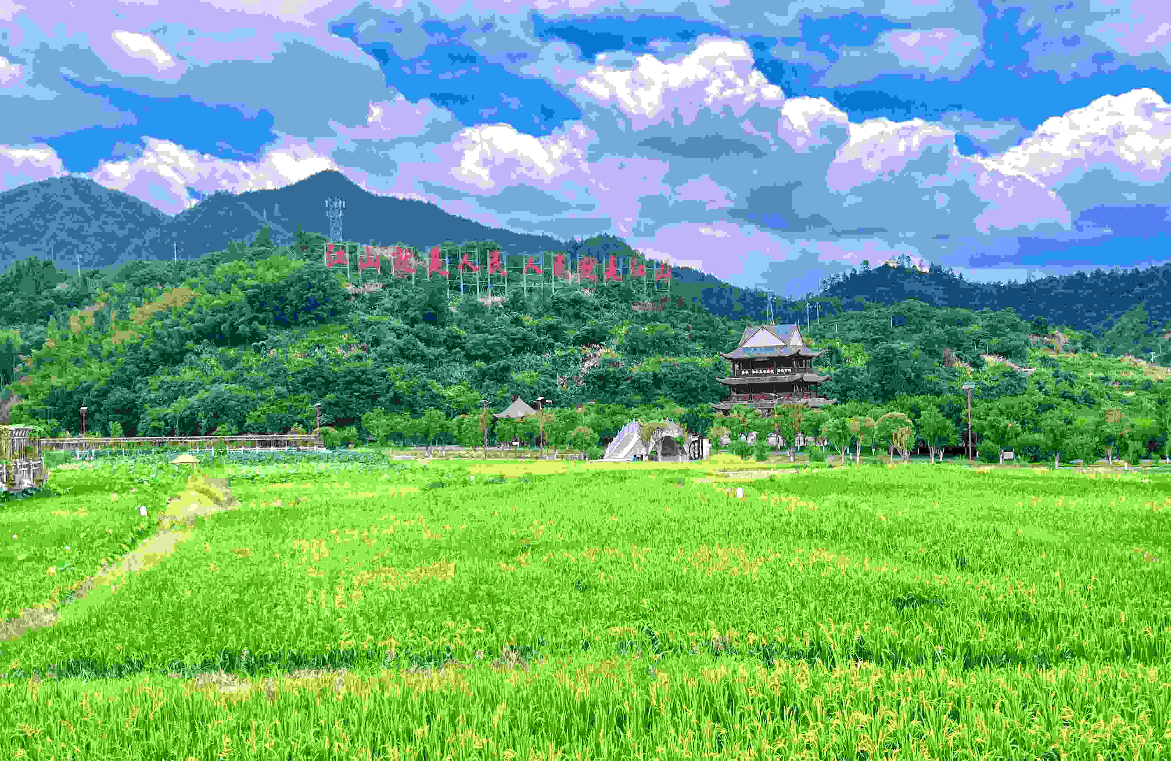 ��l����ӳ���ģ��ִ�W�Ӿ`���  ���������֘I�Ƽ���W����������ǿh�����lɳ�޴��_չ���ڌ��I���`���