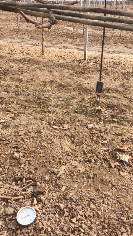 �r�Ǆ��ЈF�M�����Ѯa�I�����{��