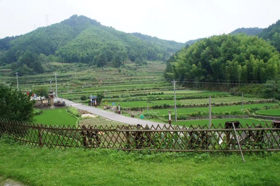 �������d �ɾ�����