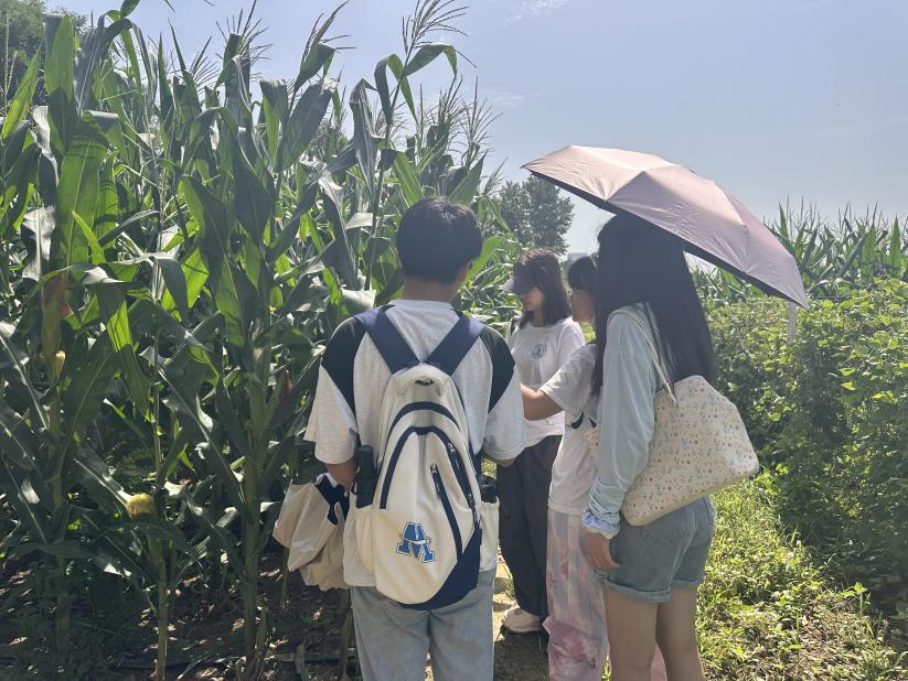 �ն��ƌW߀������r�I�lչ