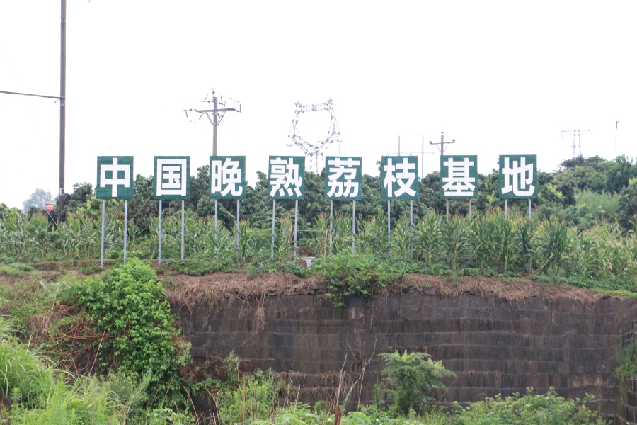 ���ֲ�ժ퍣��l(xi��ng)���d�I(y��)��