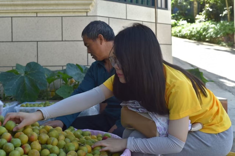 �l�����d�Ќ��ڙuϪ�Ĵ��