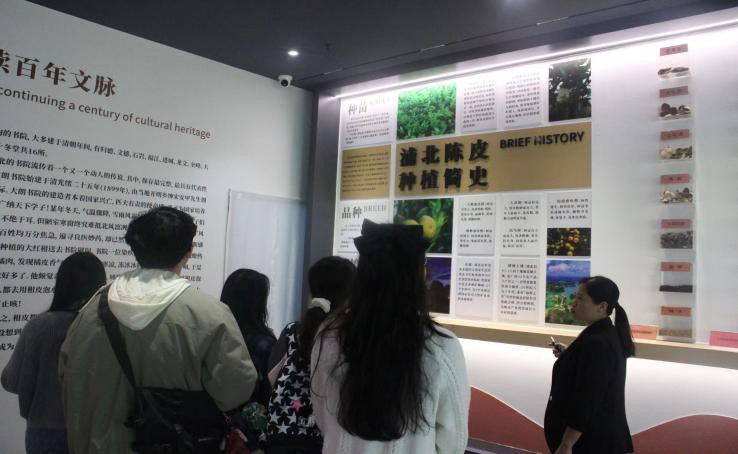 �Ƥ�h�ㄓ���L���a�I���d���lչ�����V��������W���Ƥ�{��Сꠡ�����������`�{��