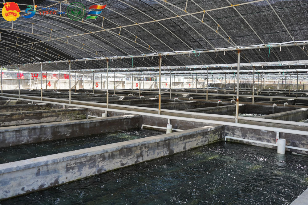 �Dʾ, ʾ��D

�жȿ��Ŷ��������Ԅ�����:ver1