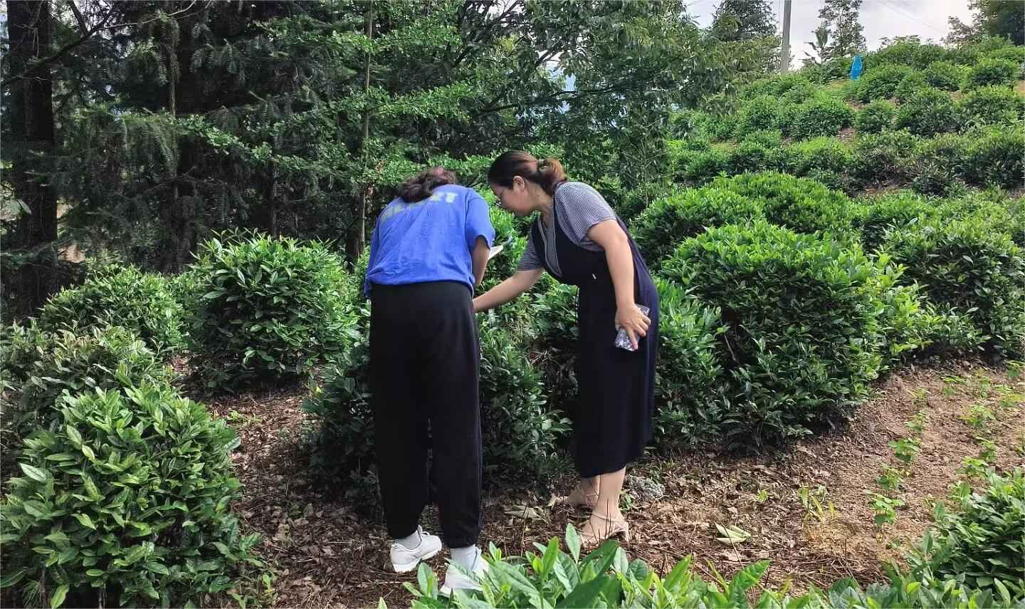 �����@���ݣ����l���¸�