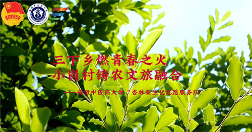 �����l(xi��ng)ȼ�ഺ֮��С�����T�r(n��ng)�����ں�