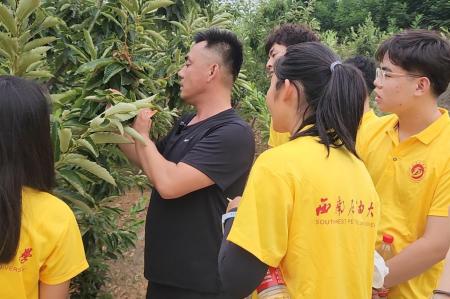 �����f�����������l�����������a�I�lչ