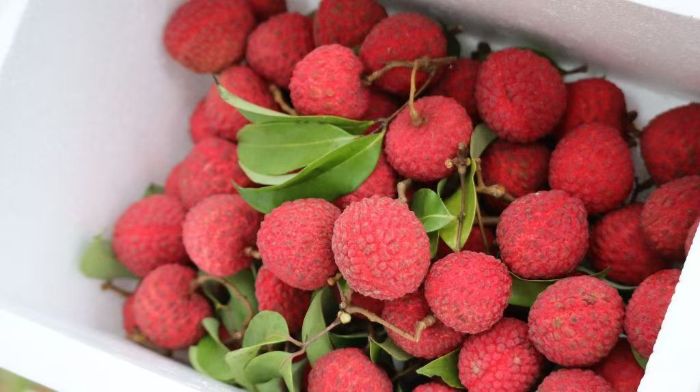 ��ǧ�f(w��n)�R�^�۽����V�|ؔ(c��i)��(j��ng)��W(xu��)��(sh��)�`�F(tu��n)��ý������