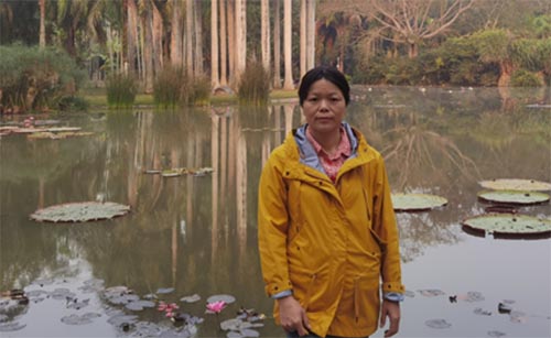 �S�����е�����͸�����������������̎