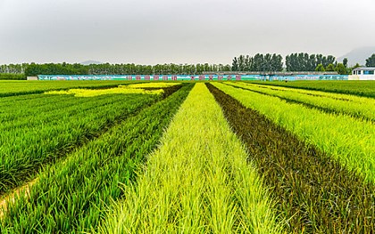 �Zʳ��ɱ����y�����r�}��һվʽ����(w��)��Q��