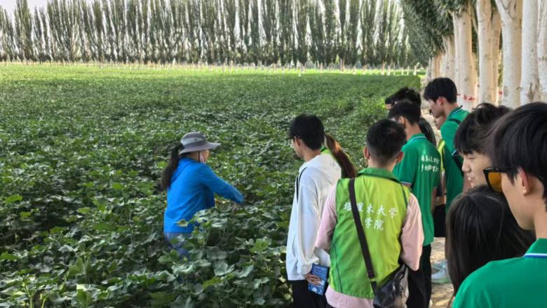 �����l(xi��ng)|���l(xi��ng)�����d�߻��ӣ��ഺ��������(d��ng)�r(sh��)���F(tu��n)�(du��)����_չ��(sh��)�`���(d��ng)﻿