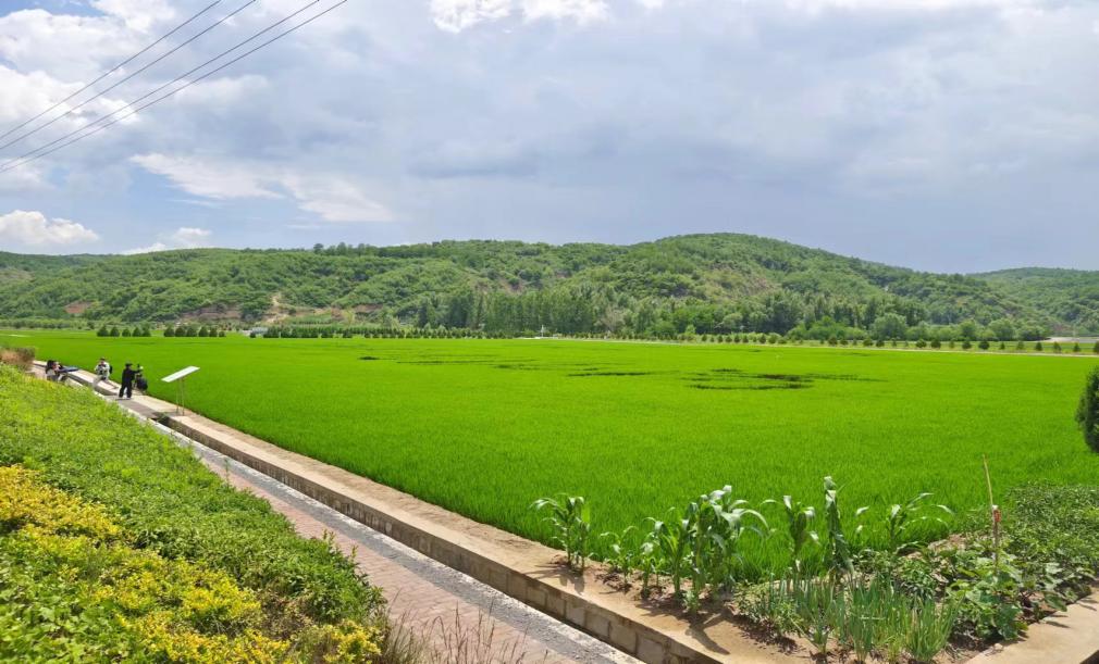 �D��������ǧ������