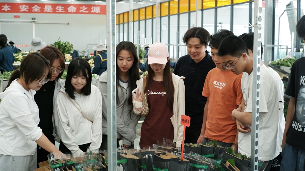 ��������A�ƌW�Ӹ��ۘ򞳸����l�����d�����R����������Ƽ���Ӗ�����_չ�{�л��