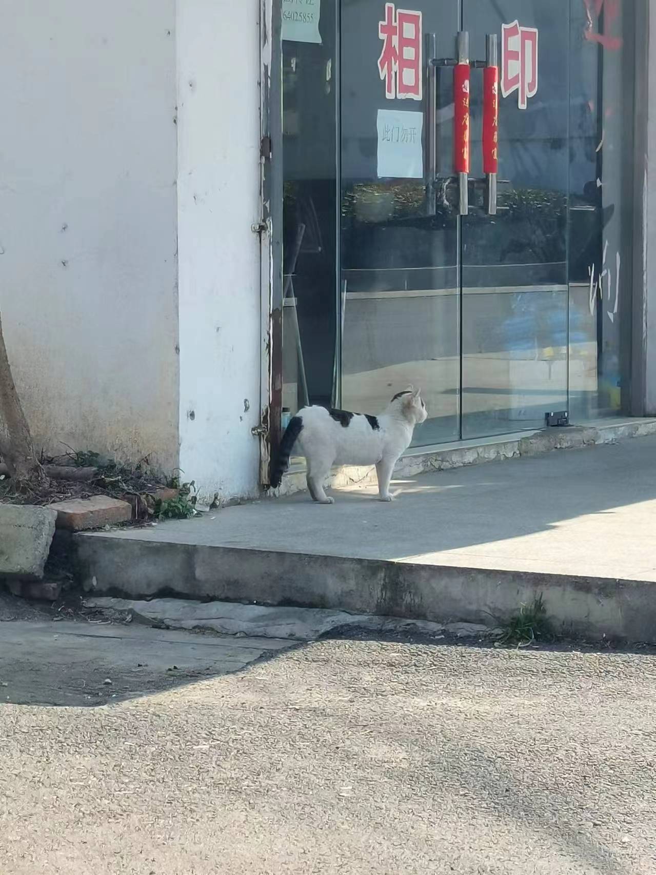 �P(gu��n)��(��i)�����˄�(d��ng)��