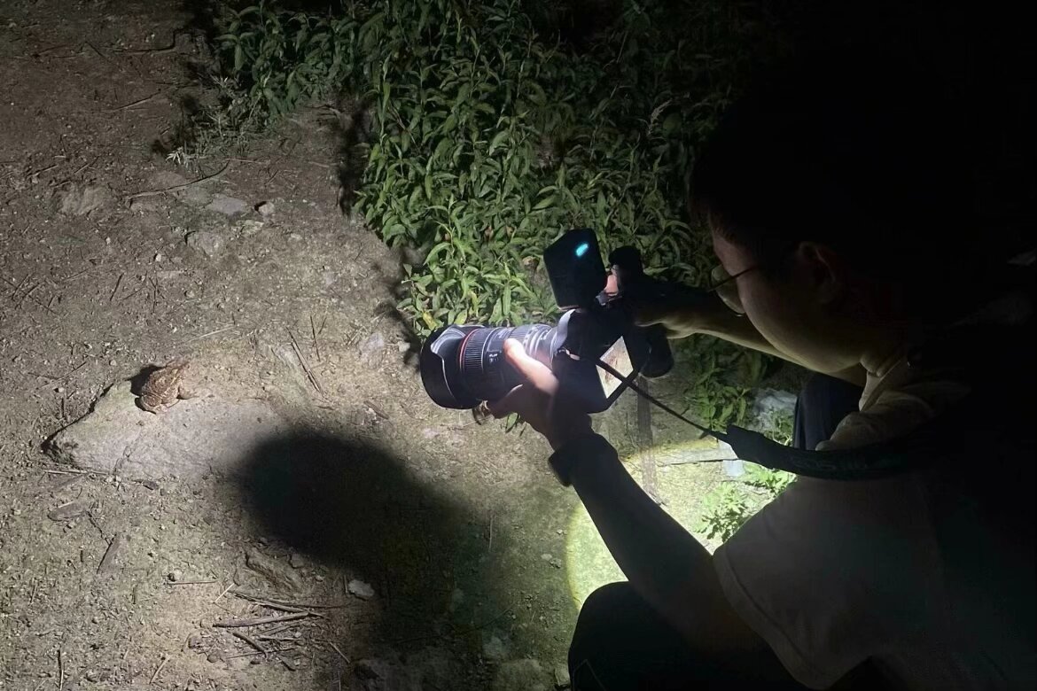 ���ڌ��`�����r�܃����{���M�Еr