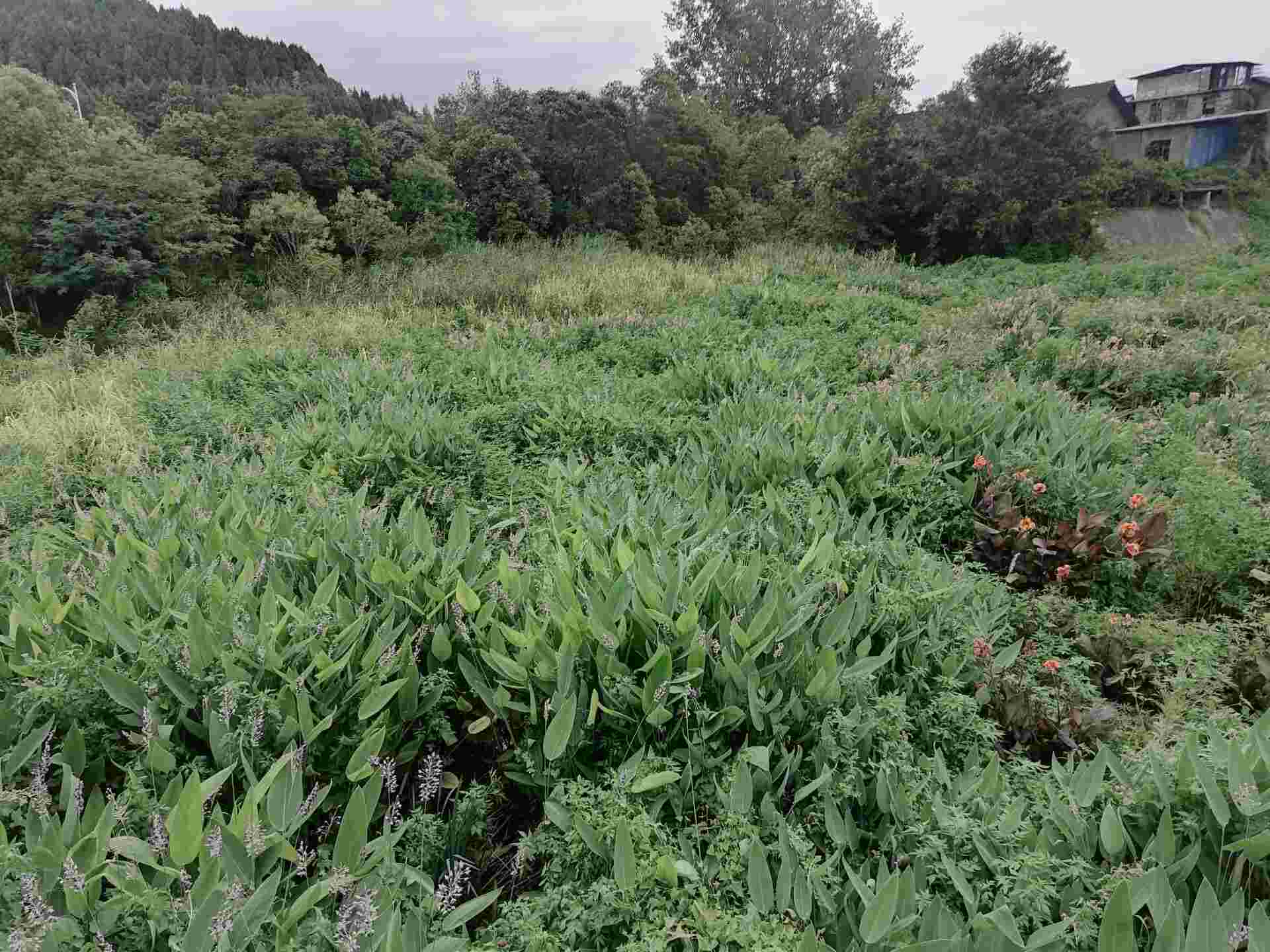 ��ϧ���B(t��i)�h(hu��n)�������������҈@