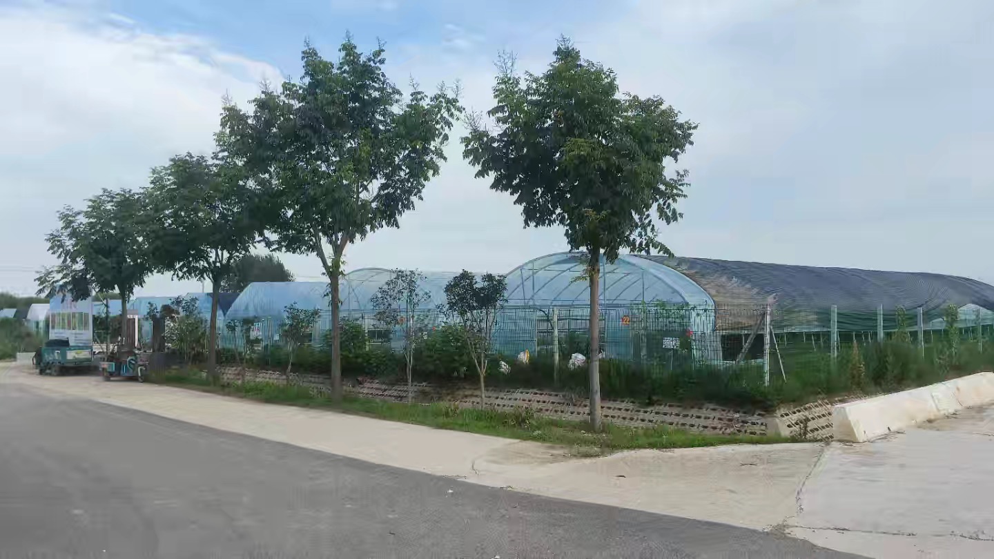 �r�I�߿Ƽ��aƷ�����I�r�I��׃���c�r��������