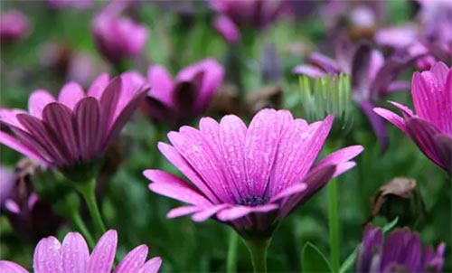 �����x��