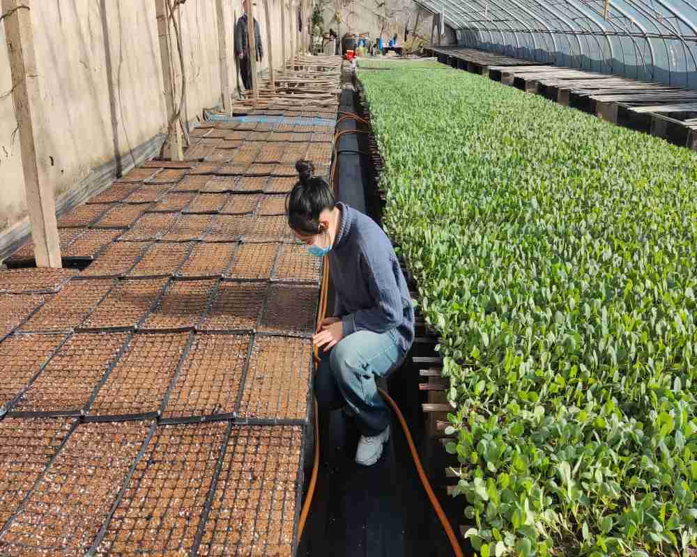 �����c���ΌWԺ���L���l���®��� �V�����d��ƪ��