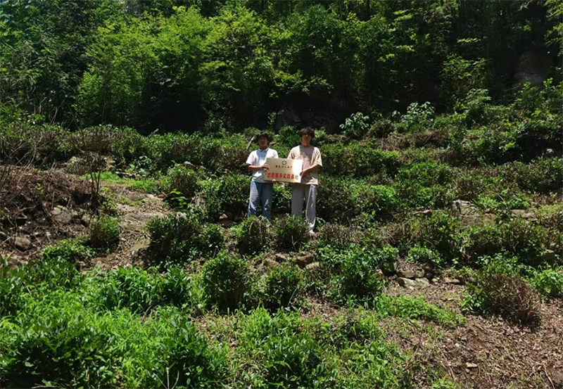 �ഺ����Ұ�о`��