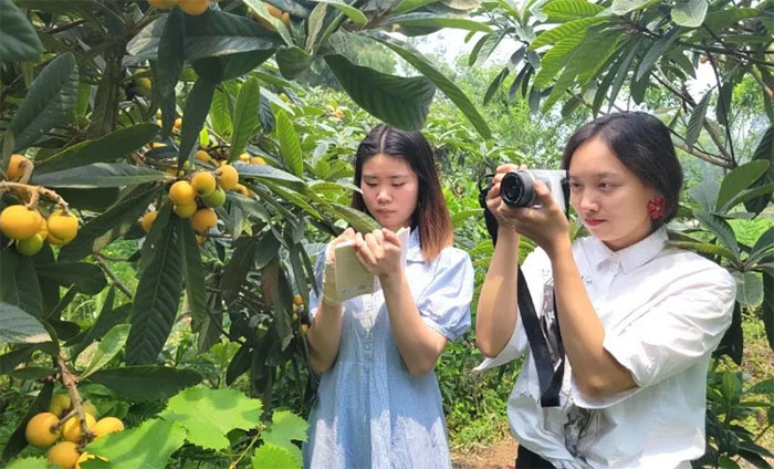 ���l(xi��ng)���(l��i)���������_���x��