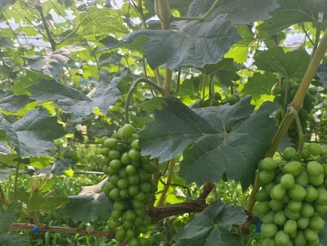 ���@�W������У������l�����d�������¸�֮·