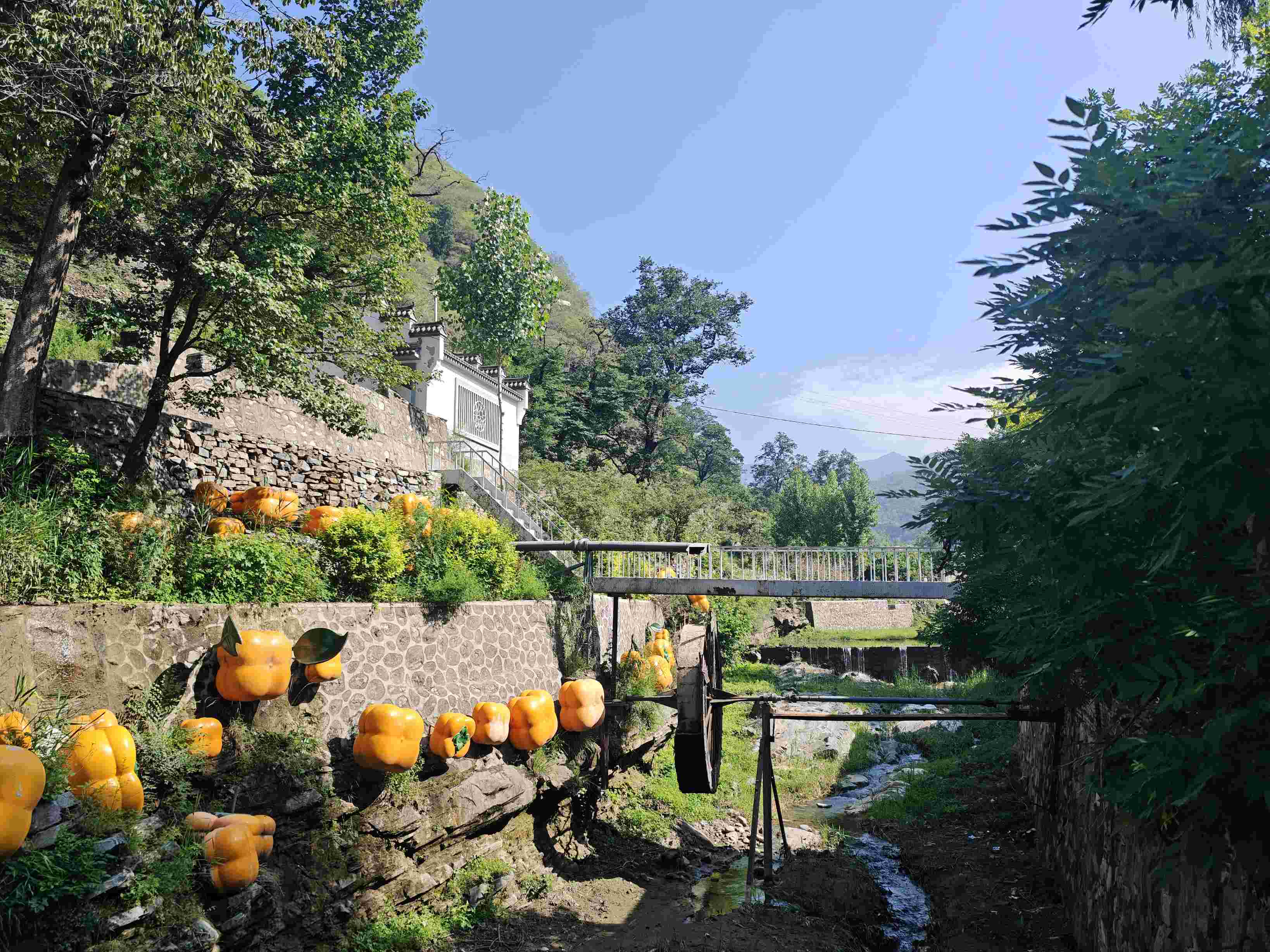 �x�ƕx�����t�}���V�Ќ��ɴ����d